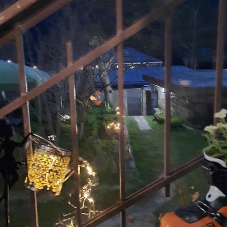 Gio-Nika Hotel Kazbegi Bagian luar foto