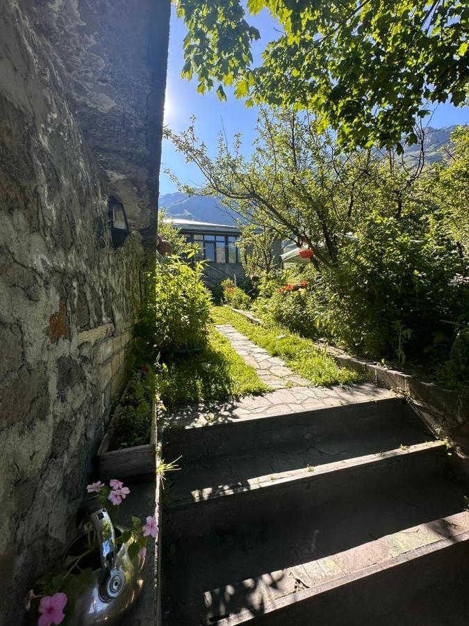 Gio-Nika Hotel Kazbegi Bagian luar foto