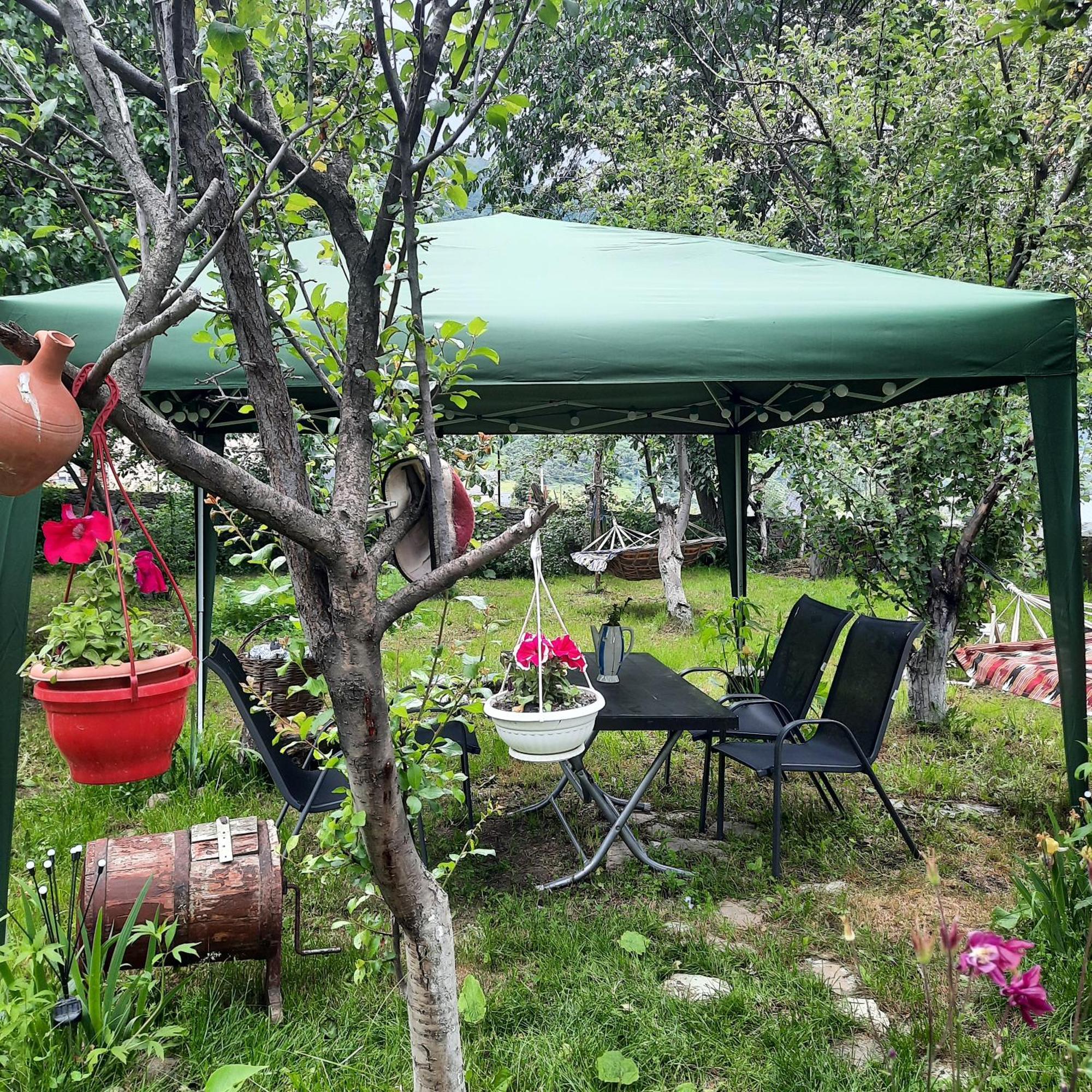 Gio-Nika Hotel Kazbegi Bagian luar foto