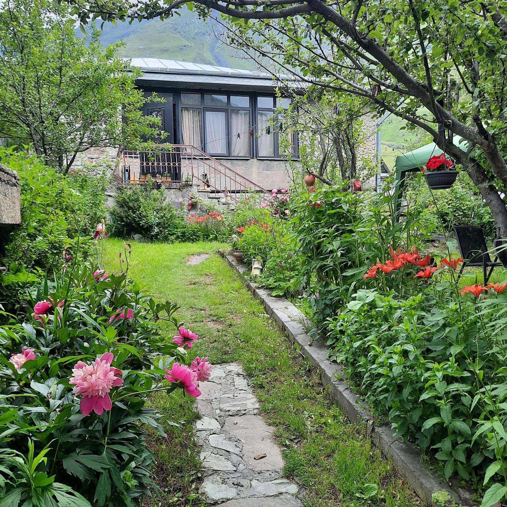 Gio-Nika Hotel Kazbegi Bagian luar foto