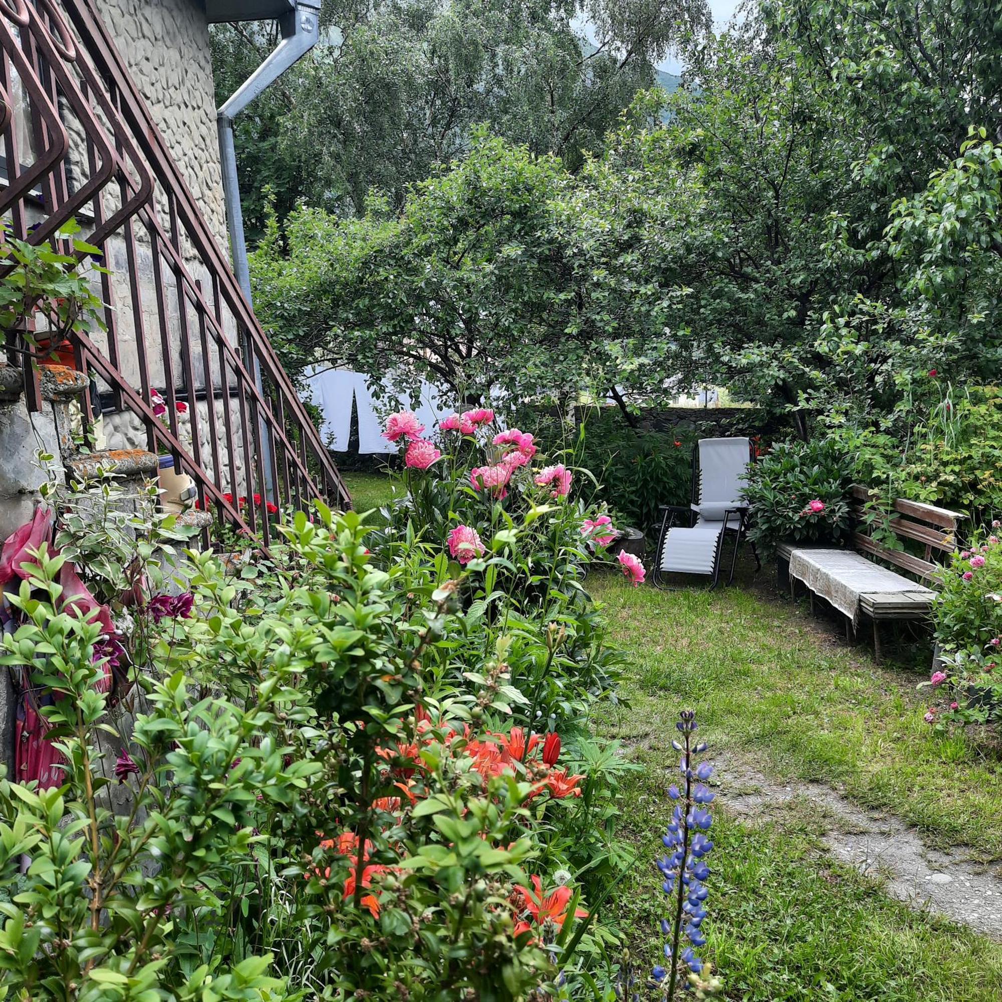 Gio-Nika Hotel Kazbegi Bagian luar foto