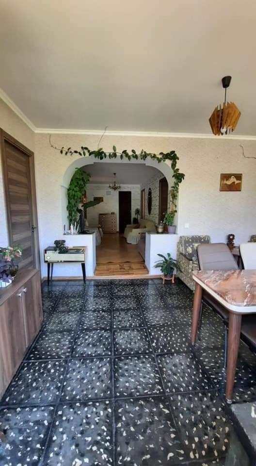 Gio-Nika Hotel Kazbegi Bagian luar foto