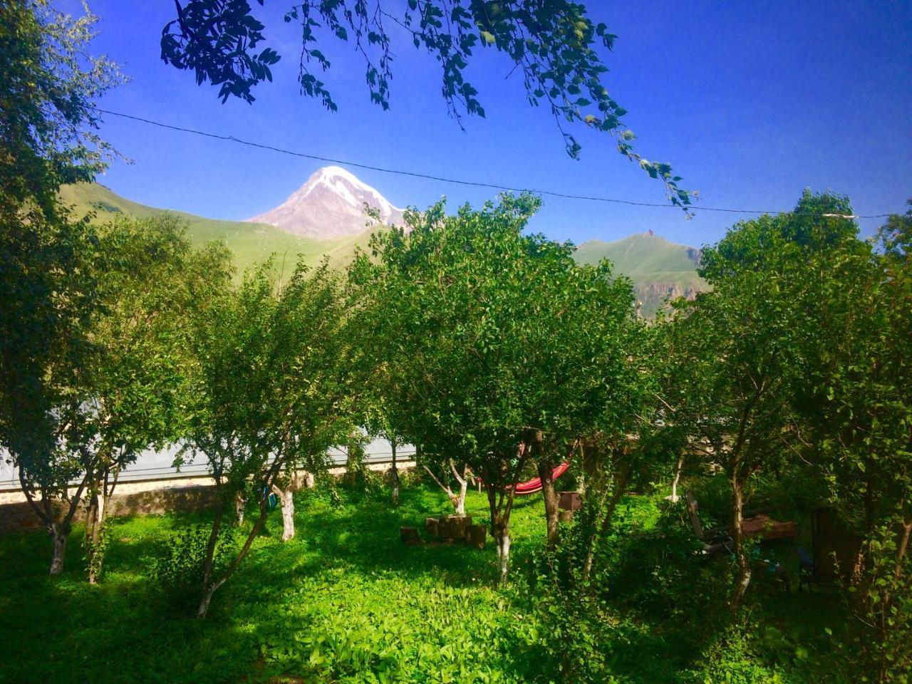 Gio-Nika Hotel Kazbegi Bagian luar foto