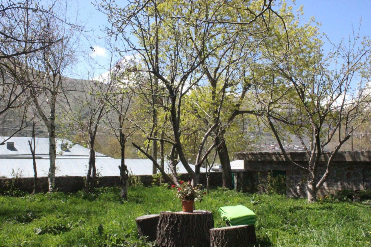 Gio-Nika Hotel Kazbegi Bagian luar foto