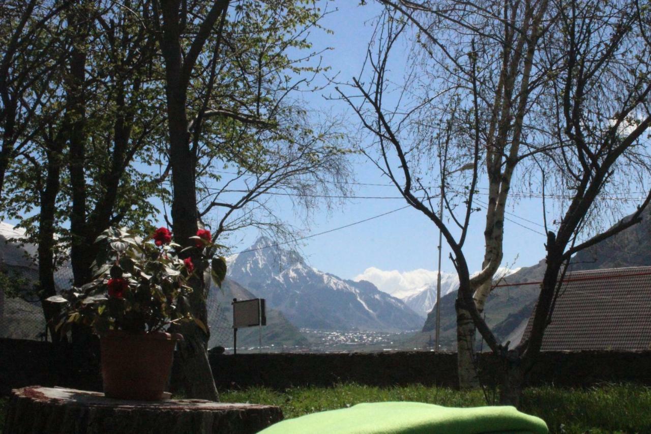 Gio-Nika Hotel Kazbegi Bagian luar foto